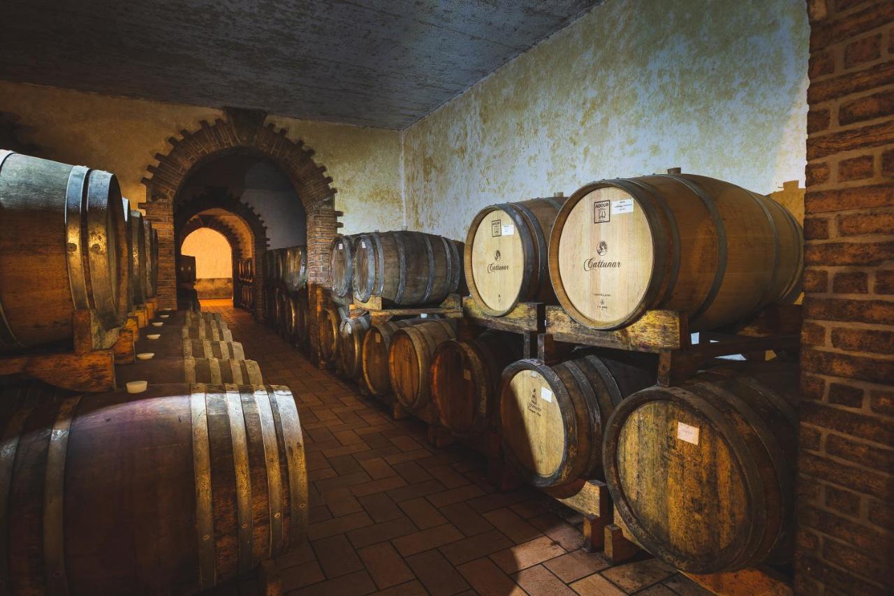 Wine Residence Cattunar Brtonigla Bagian luar foto