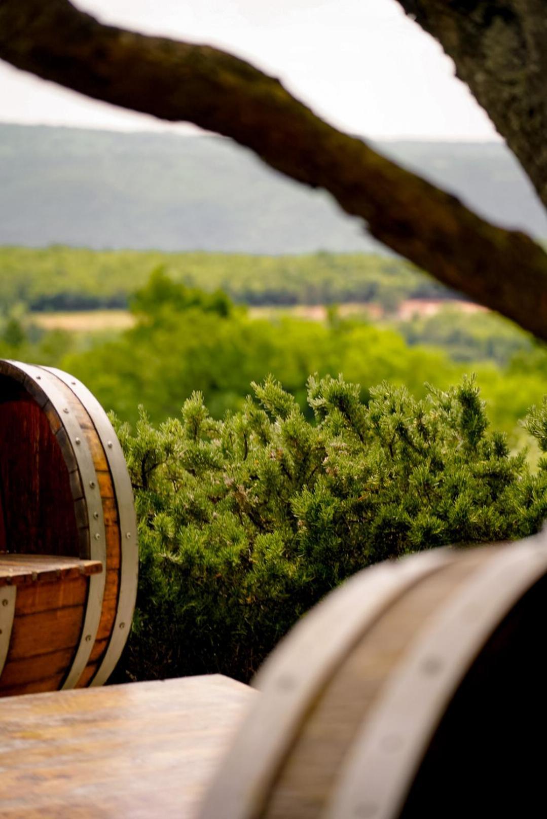 Wine Residence Cattunar Brtonigla Bagian luar foto