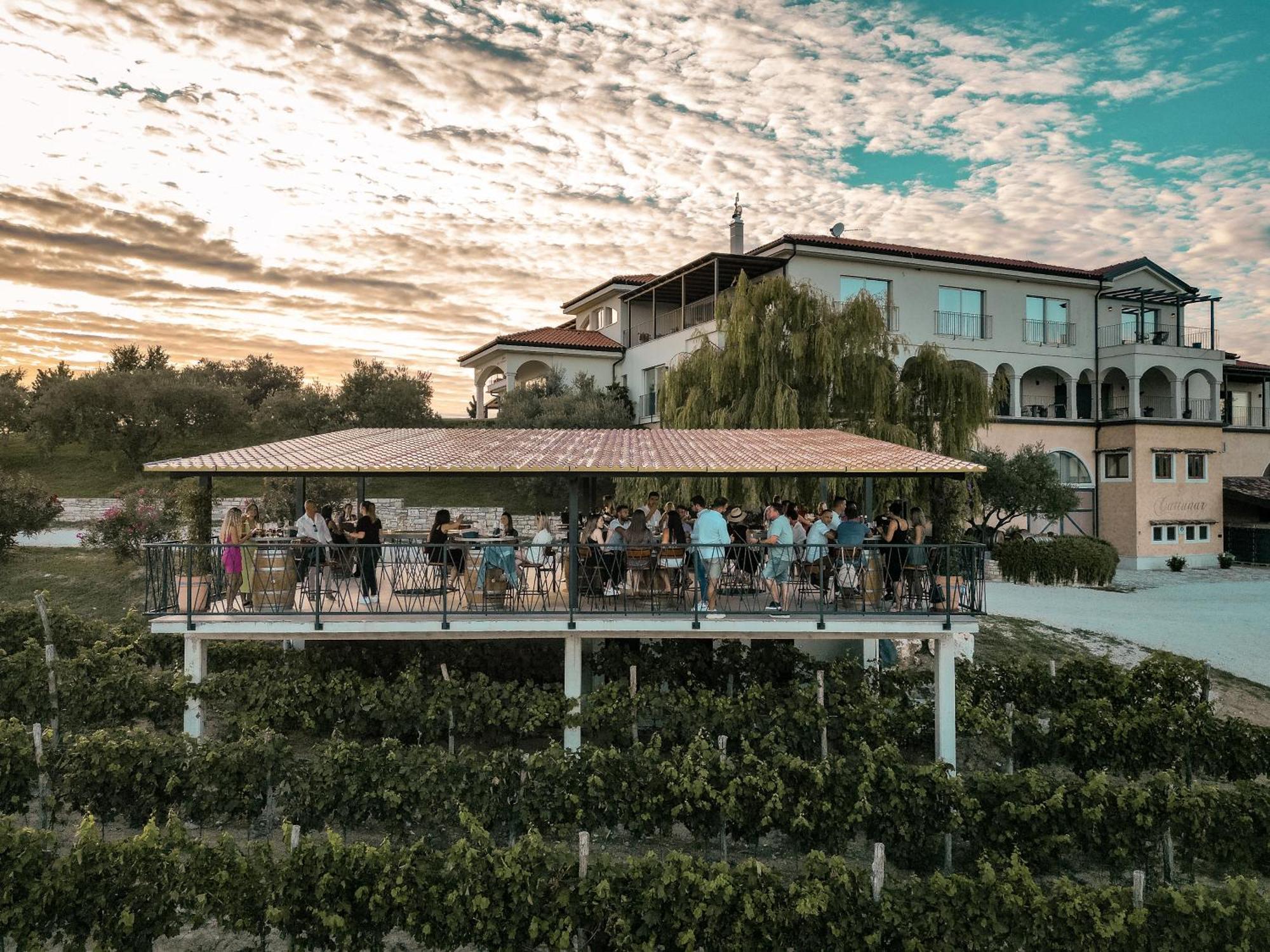 Wine Residence Cattunar Brtonigla Bagian luar foto