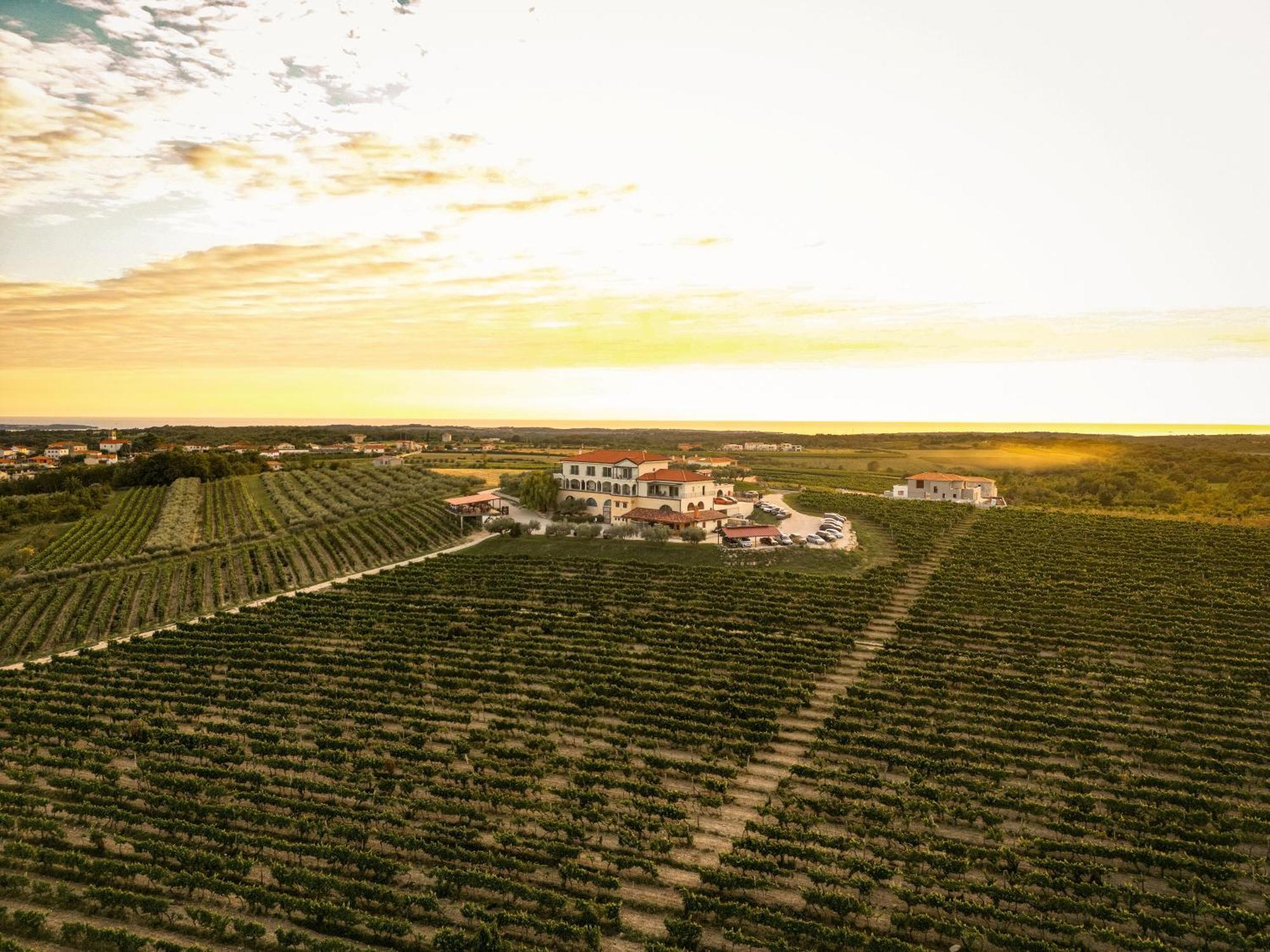 Wine Residence Cattunar Brtonigla Bagian luar foto